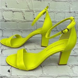 NWOB Antonio Melani Stacen Leather Block Heel shoe